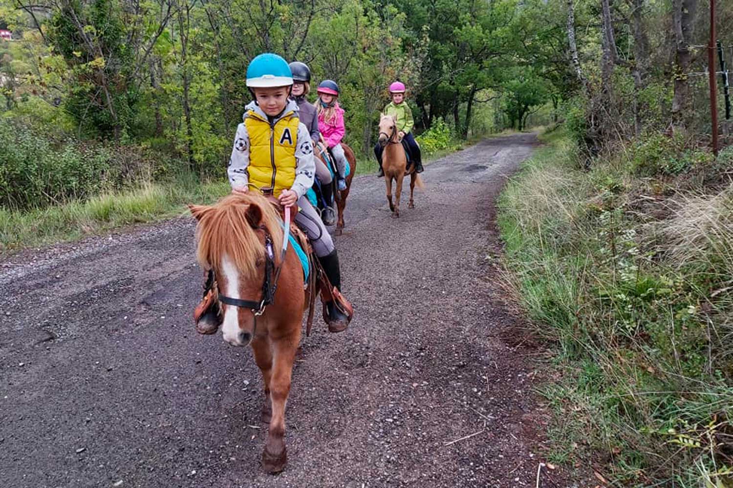 Centre équestre, poney club, randonnées, stages vacances