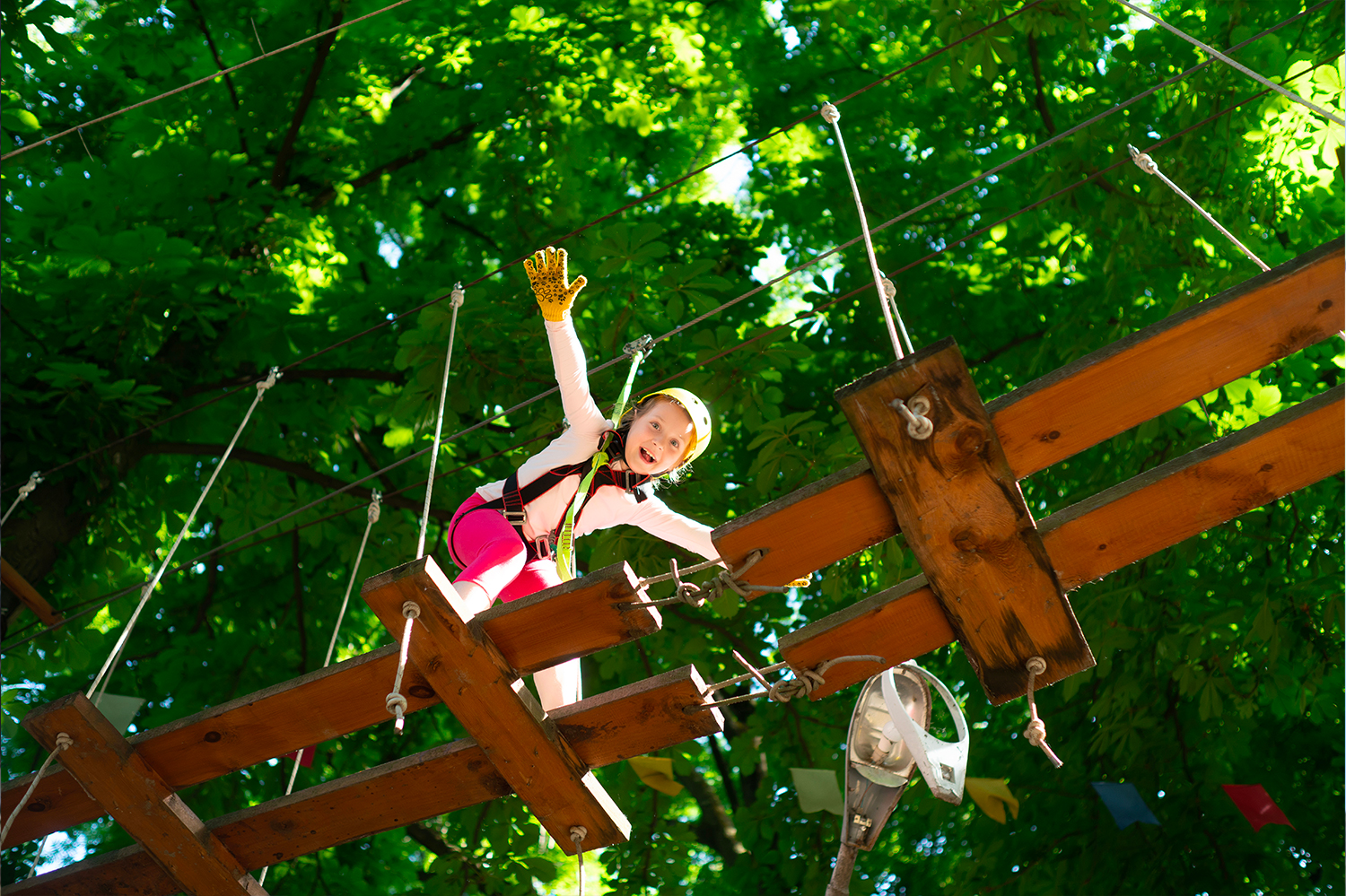 L’aventure ça vous branche... profitez de notre parc en famille avec nos parcours progressifs