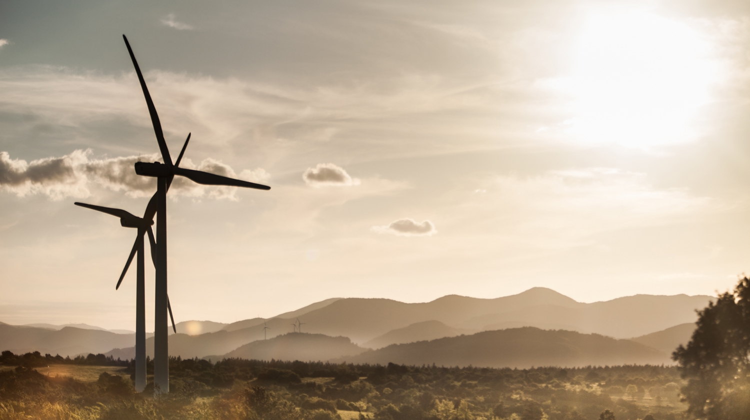 L'économie en Grand Orb