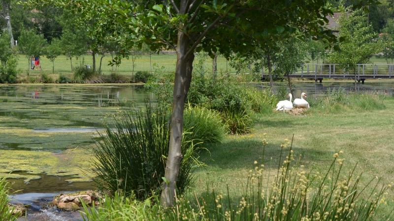 Lunas : Une sortie nature au plan d'eau de la Base de Loisirs