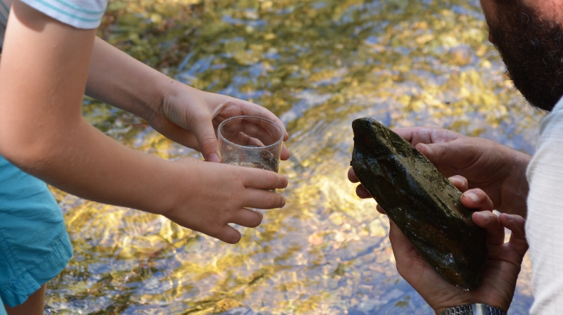 Belle réussite pour la Fête de l'eau, de la nature et du patrimoine !