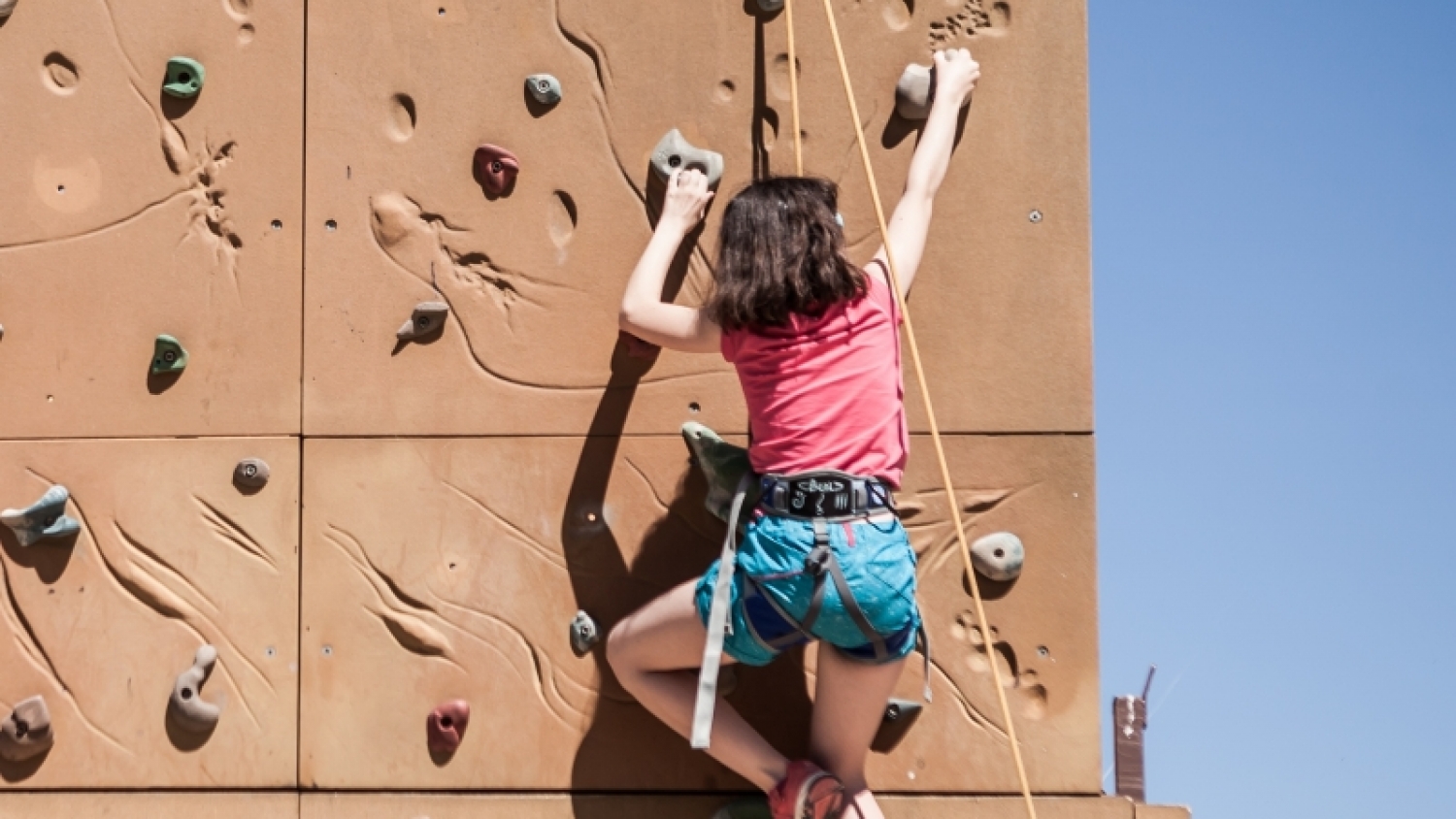 Retour sur les temps forts de l’année 2016