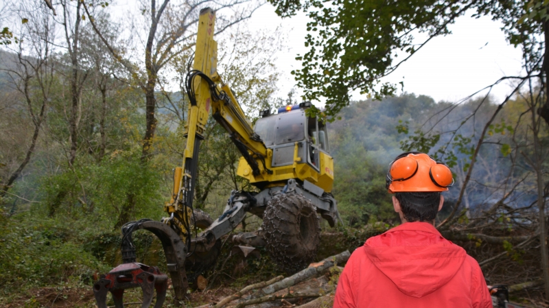 Entretien des berges : de nouveaux travaux sont en cours