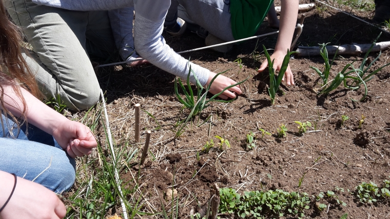 Jardinage, entretien ou cosmétique : de nouveaux ateliers pratiques pour du fait-maison