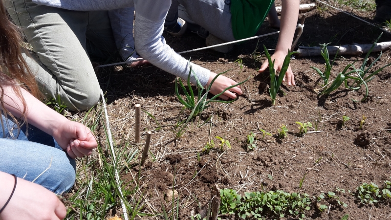 Jardinage, entretien ou cosmétique : de nouveaux ateliers pratiques pour du fait-maison