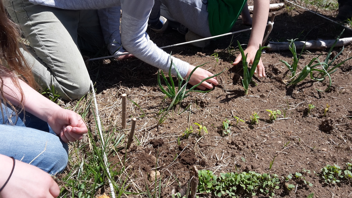 Jardinage, entretien ou cosmétique : de nouveaux ateliers pratiques pour du fait-maison