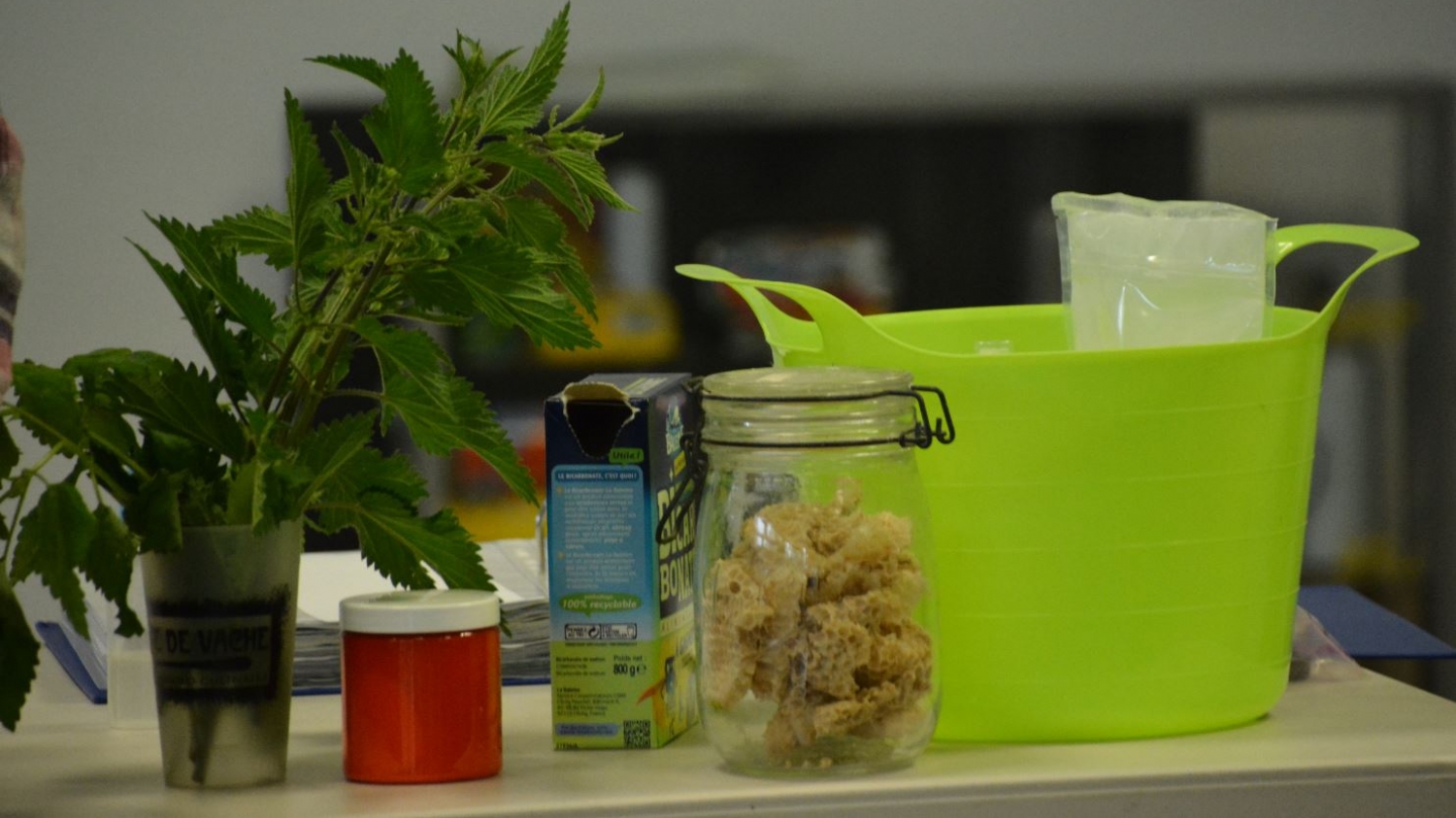 Atelier environnement & beauté « Je fabrique mes produits cosmétiques »