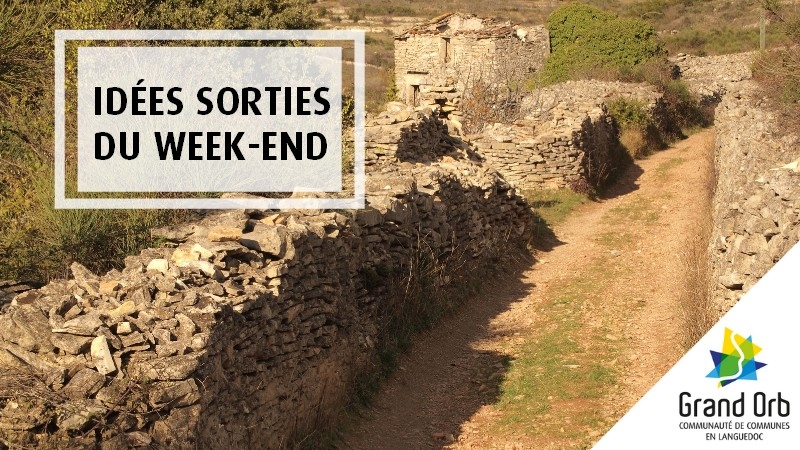 Idées sorties du week-end