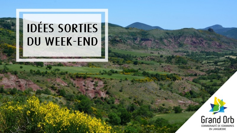 Idées sorties du week-end