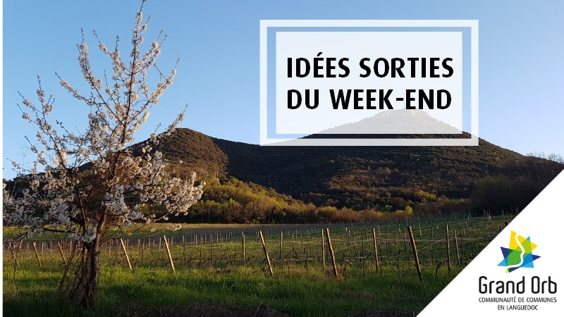 Idées sorties du week-end