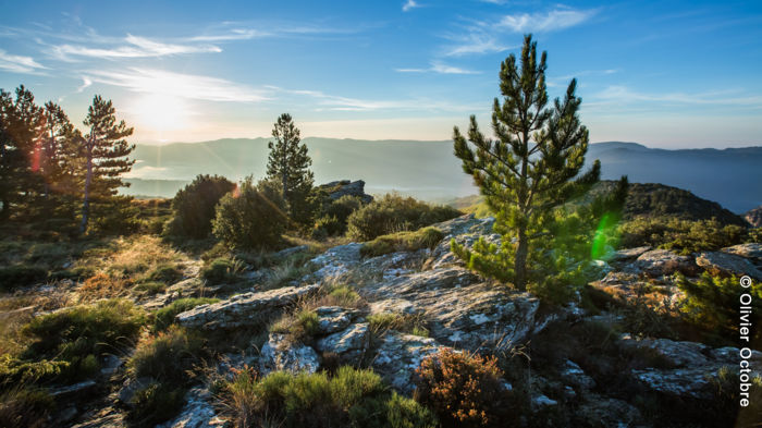 Plan Climat Air-Energie Territorial