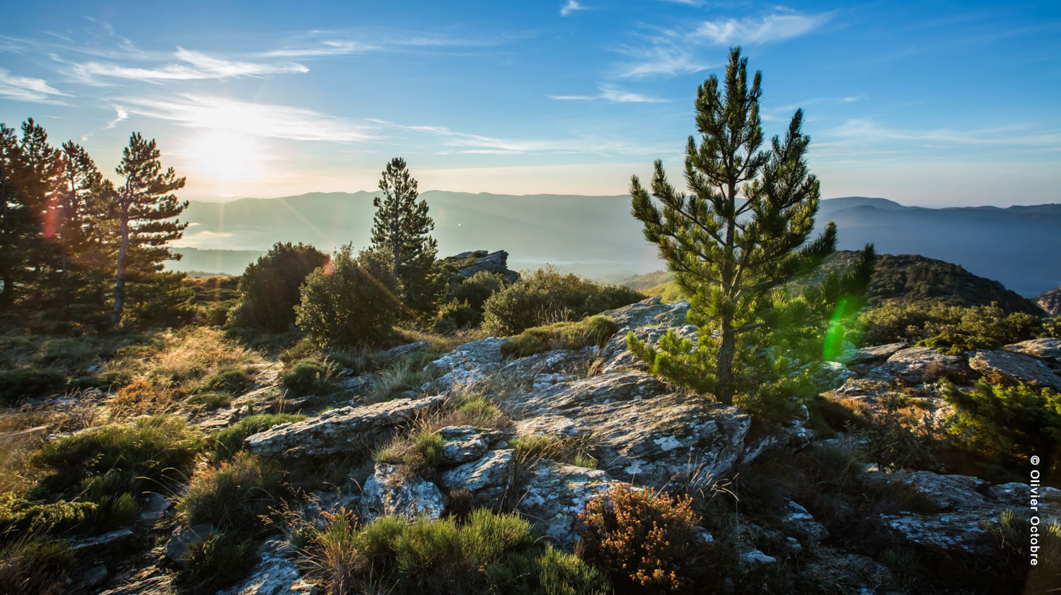 Plan Climat Air-Energie Territorial
