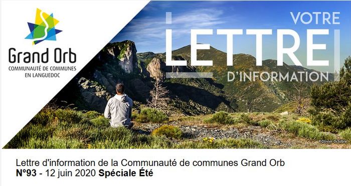 Toutes les dernières informations sur notre newsletter