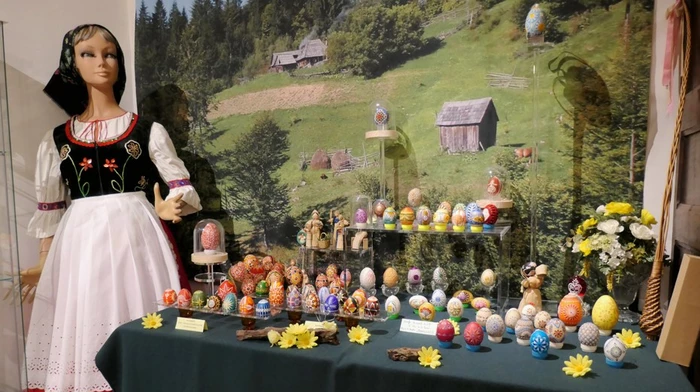 Espace « Curiositats Musèu »