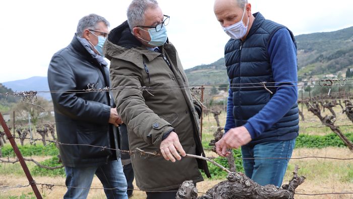 MOBILISATION AUTOUR DU MONDE AGRICOLE