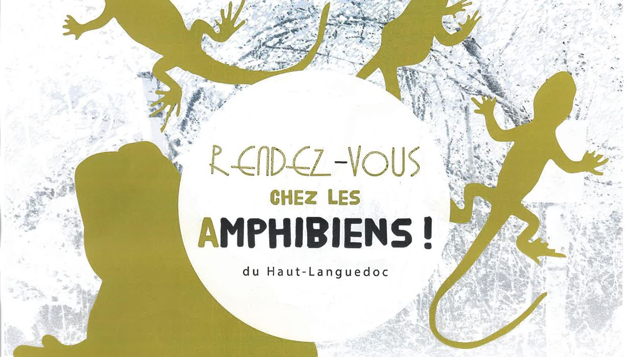 Rendez-vous chez les amphibiens du Haut-Languedoc !