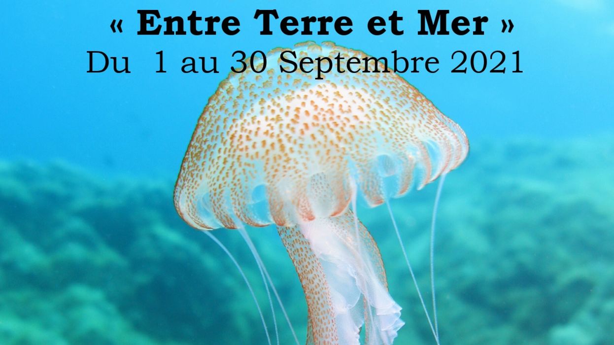 « Entre Terre et Mer », Ludivine et Jordy