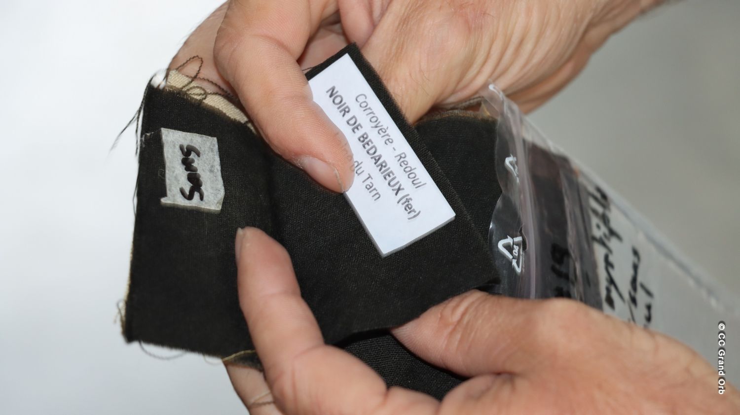 Grand Orb accompagne le développement de l'entreprise GREEN’ING