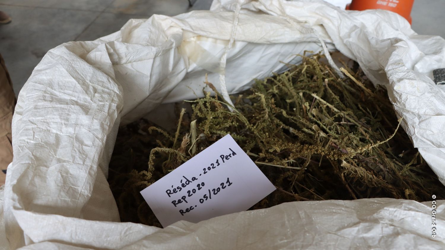 Grand Orb accompagne le développement de l'entreprise GREEN’ING