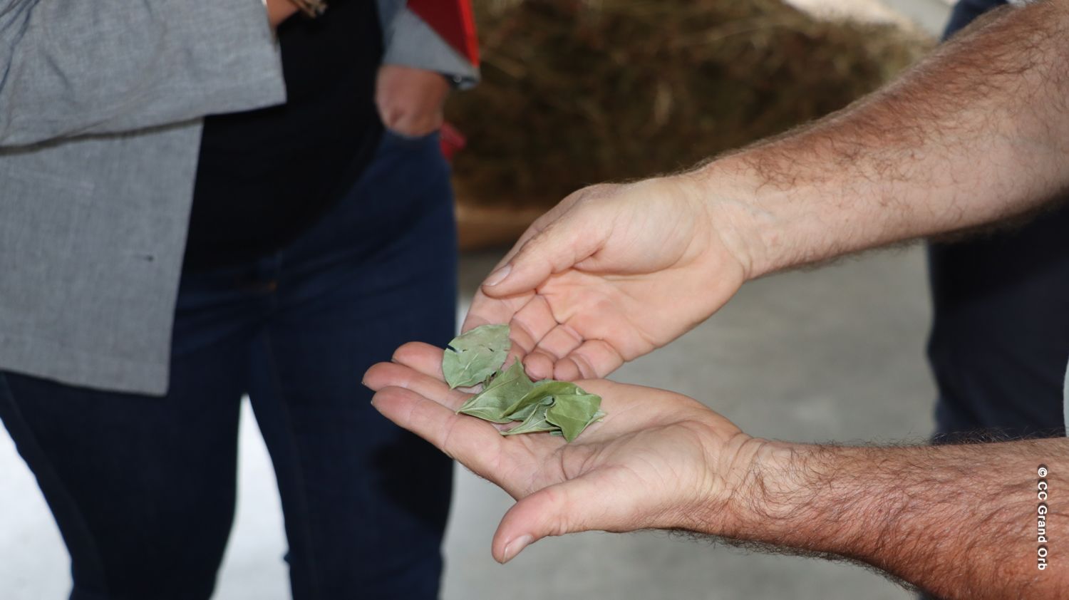 Grand Orb accompagne le développement de l'entreprise GREEN’ING