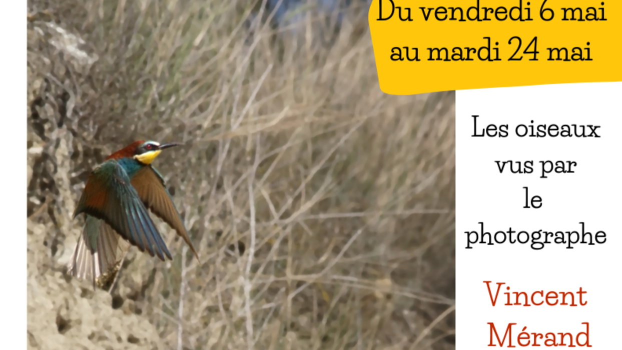 Exposition photos «Drôles d'oiseaux»