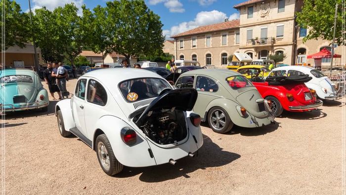 Balade dans les Hauts-Cantons en Cox et Combi dérivée VW