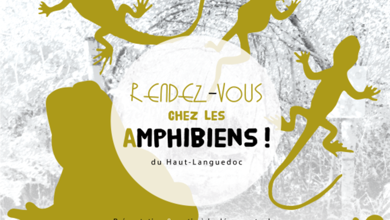 Rendez-vous chez les amphibiens du Haut-Languedoc