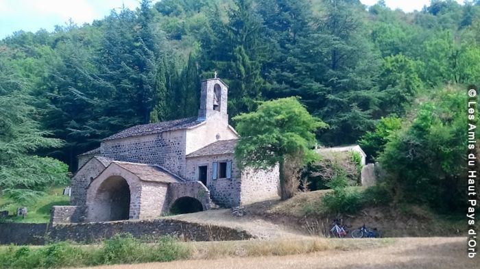 Visite commentée St André de Rieussec