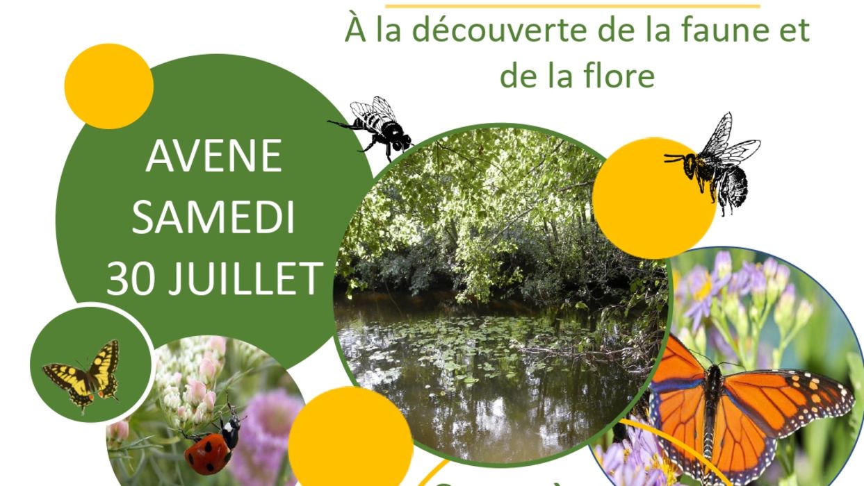 Balade nature guidée faune et flore