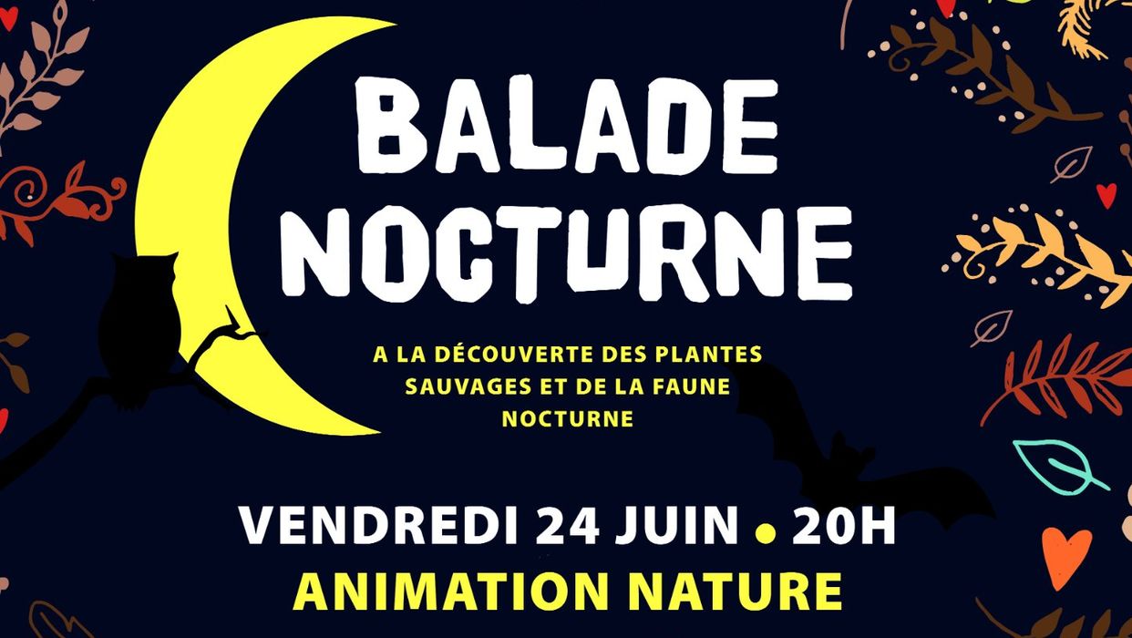 Balade nocturne