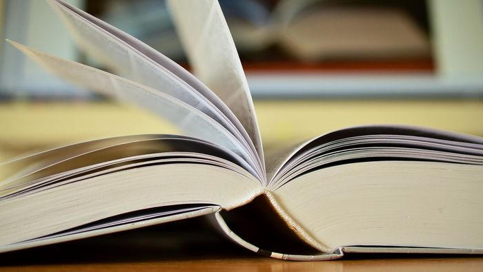 Les livres dans la rue