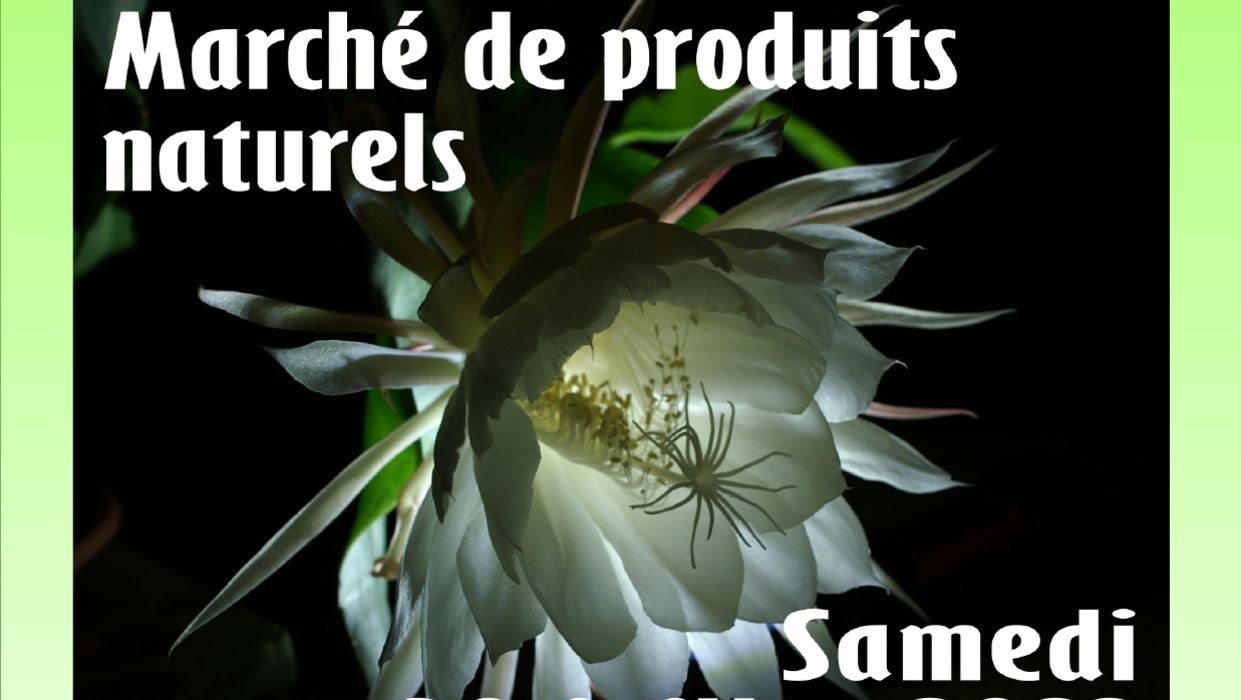 Marché de produits naturels