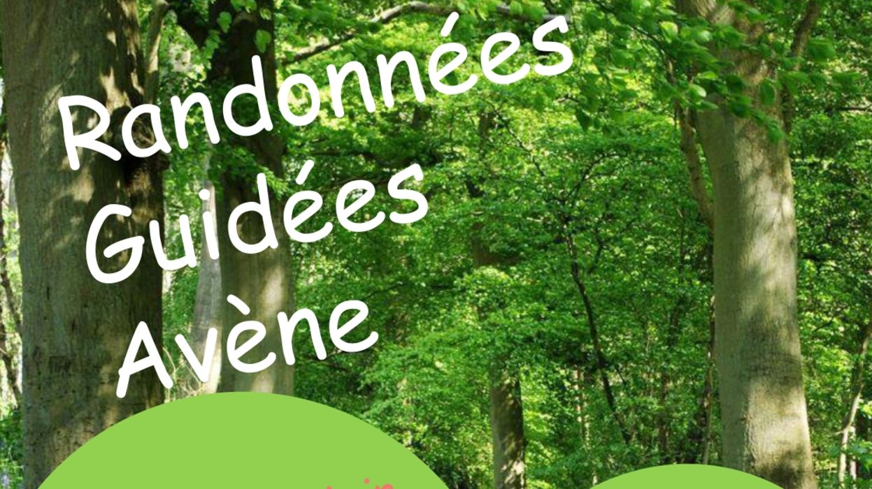 Randonnée guidée