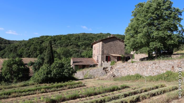 Domaine de Pouzes - plantes aromatiques - © CC Grand Orb La démarche exemplaire de Gaëtan et Sophie au Domaine de Pouzes