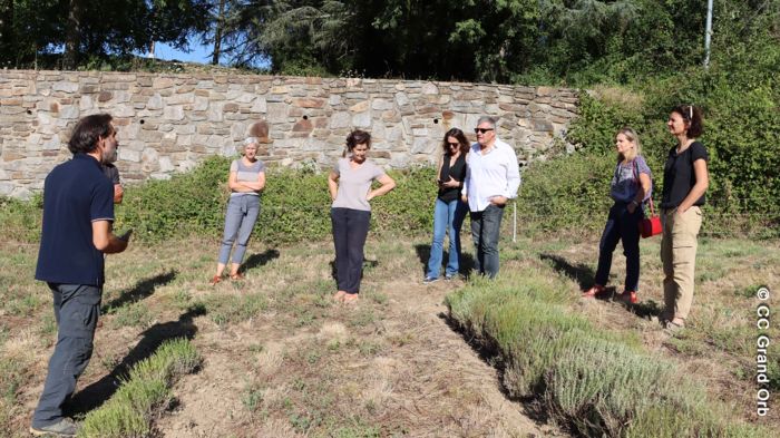 Domaine de Pouzes - plantes aromatiques - © CC Grand Orb La démarche exemplaire de Gaëtan et Sophie au Domaine de Pouzes