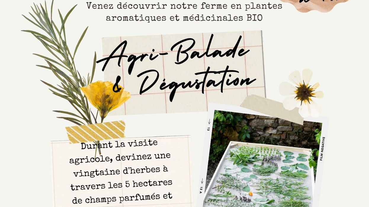 Agri-balade et dégustation au domaine de Pouzes