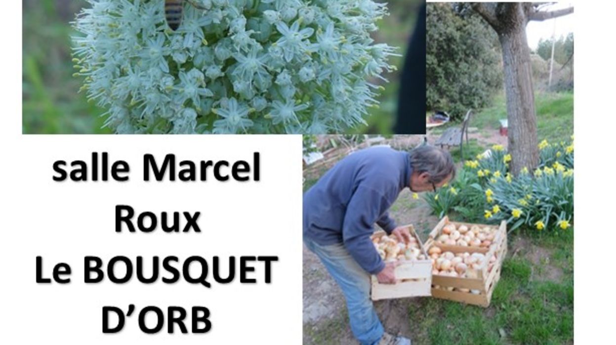 Fête de la Cèbe de Tarassac