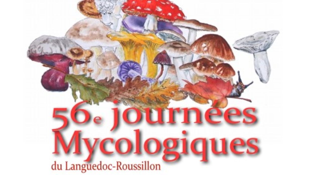 56èmes Journées Mycologiques du Languedoc-Roussillon