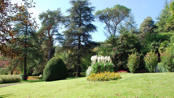 Le Parc de L'Usclade : les arbres ont une histoire