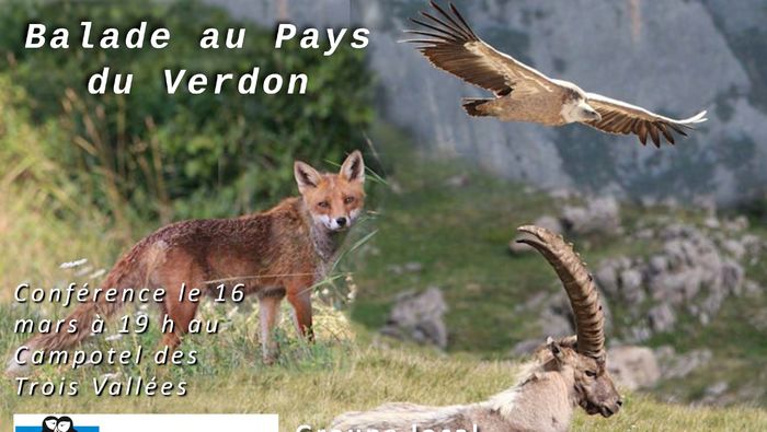 Balade naturaliste au pays du Verdon