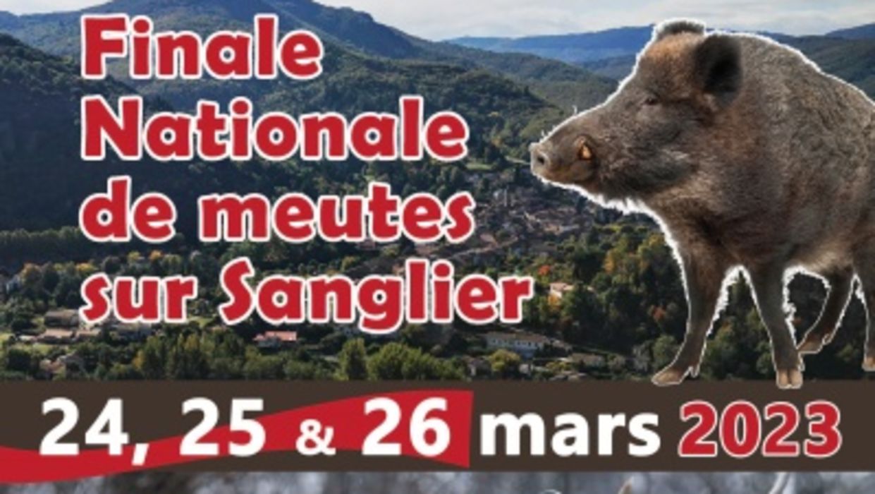 Finale nationale de meutes sur sanglier