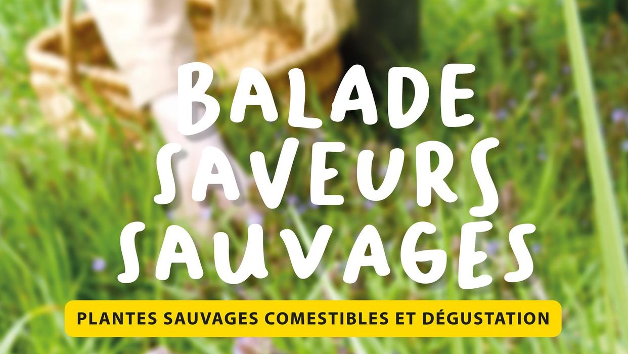 Balade saveurs sauvages