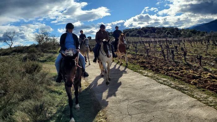 Horsewild à Bédarieux : tous en selle