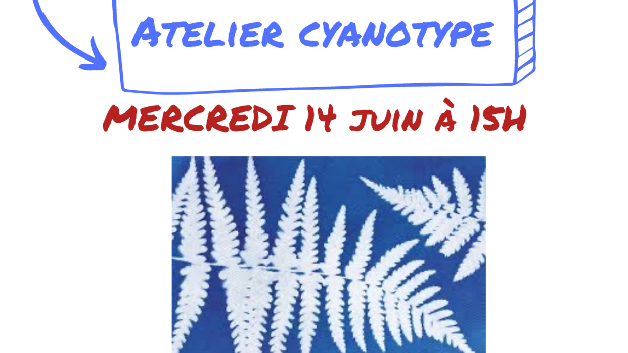 L'atelier des curieux : atelier cyanotype