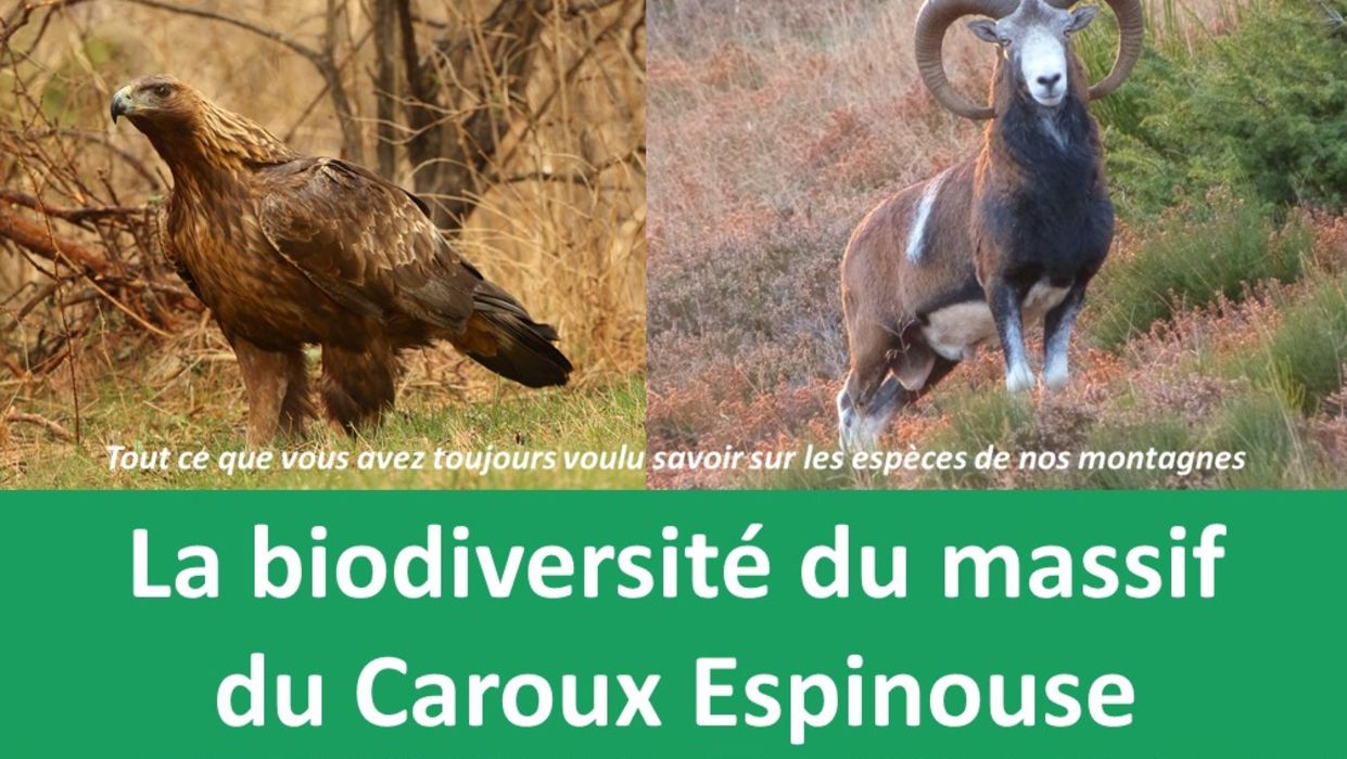 La biodiversité du massif du Caroux Espinouse
