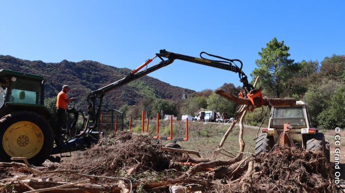 L'Arnoilhes en amont de Taillevent - © CC Grand Orb Des travaux d’urgence engagés après la décrue