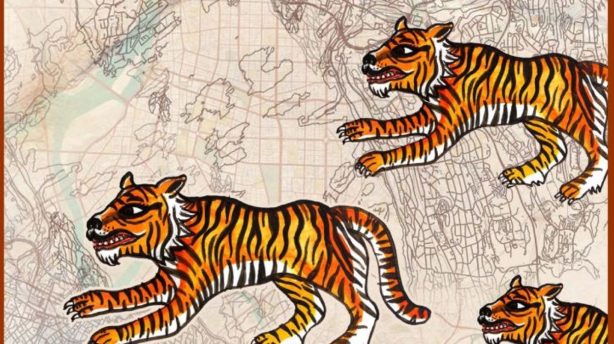 Les Tigres