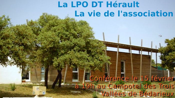 Conférence La LPO DT Hérault : la vie de l’association 