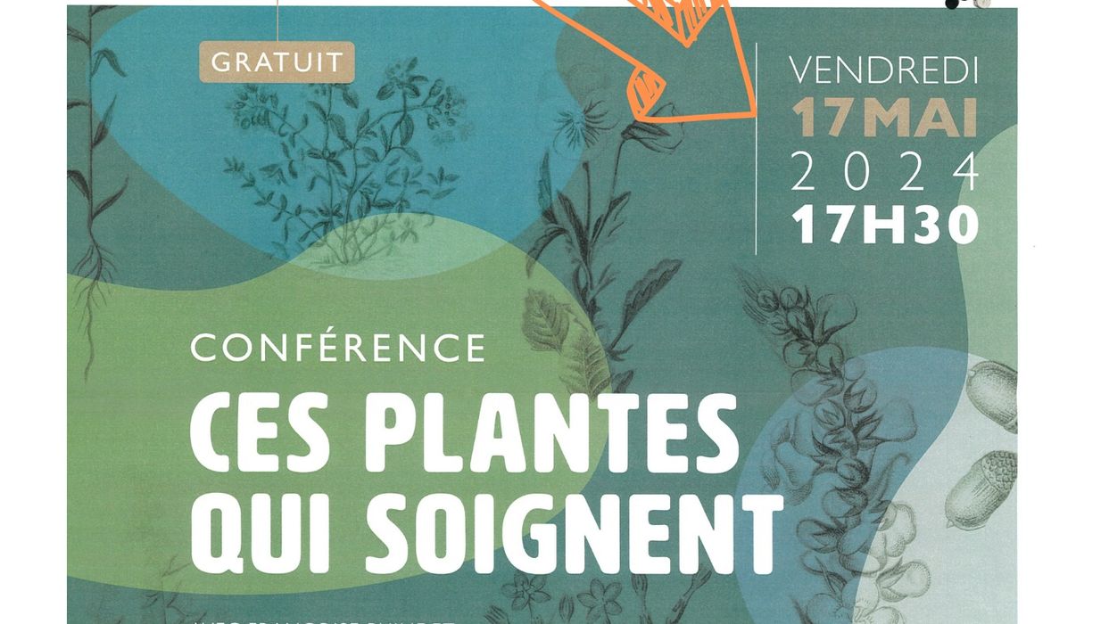 Ces plantes qui soignent