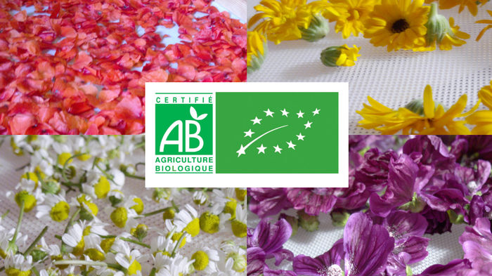 Visite : Le Jardin Debout - 